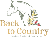 Back To Country Equine Assisted Learning
