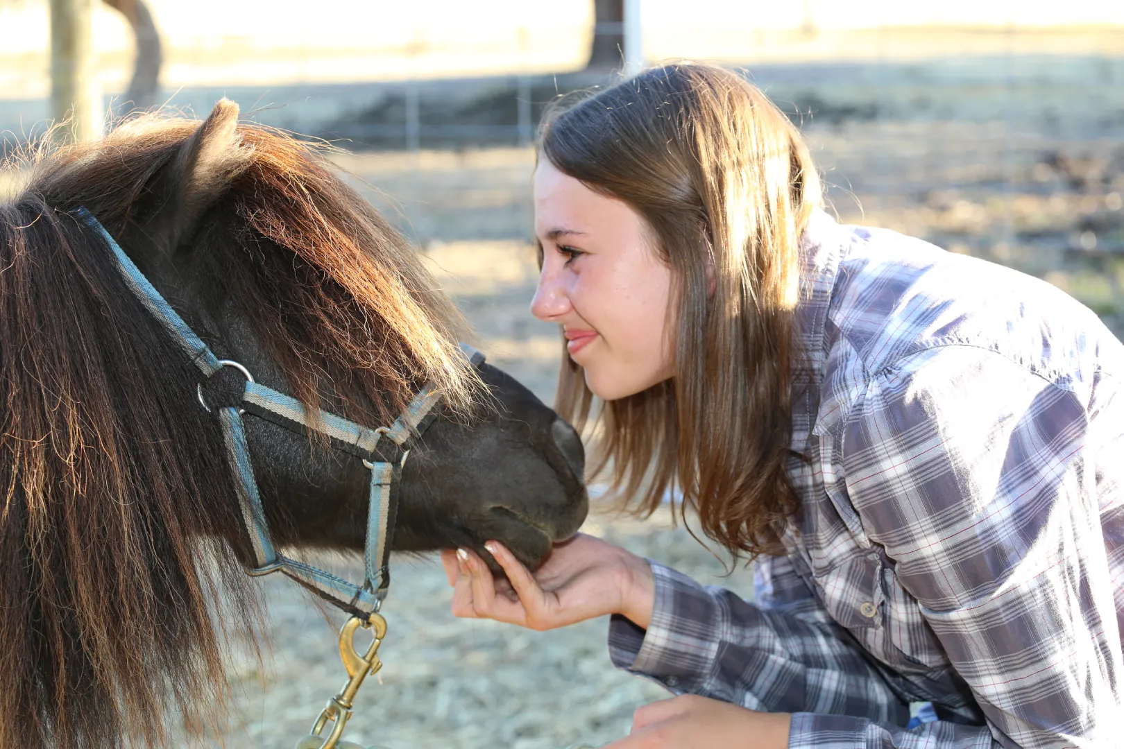 Back to Country Equine Assisted Learning Darcy
