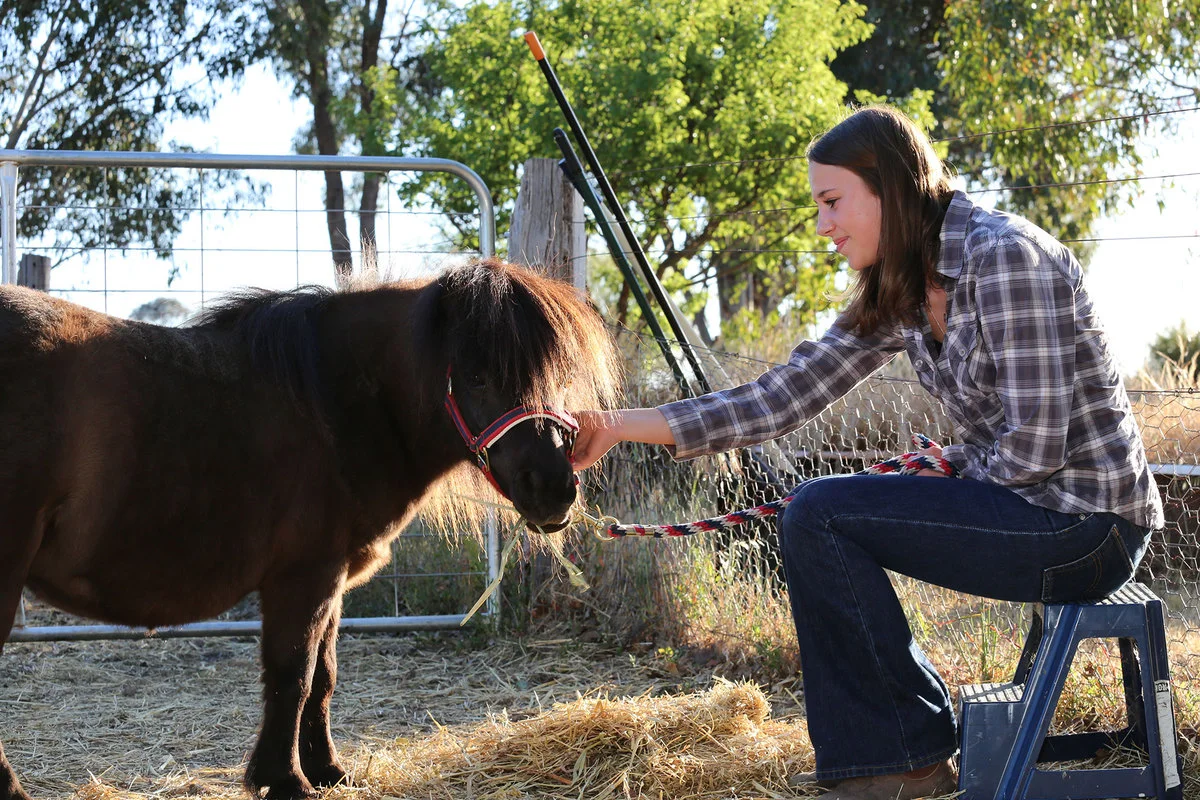 Back to Country Equine Assisted Learning Pee Wee and Lissy