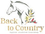Back To Country Equine Assisted Learning